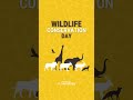 Happy Wildlife Conservation Day!