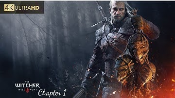 THE WITCHER 2: ASSASSINS OF KING ENHANCED EDITION | GAMEPLAY 4K CHAPTER 1