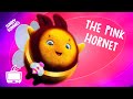 🔴  LIVE SUNNY BUNNIES TV | The Pink Hornet | Cartoons for Children