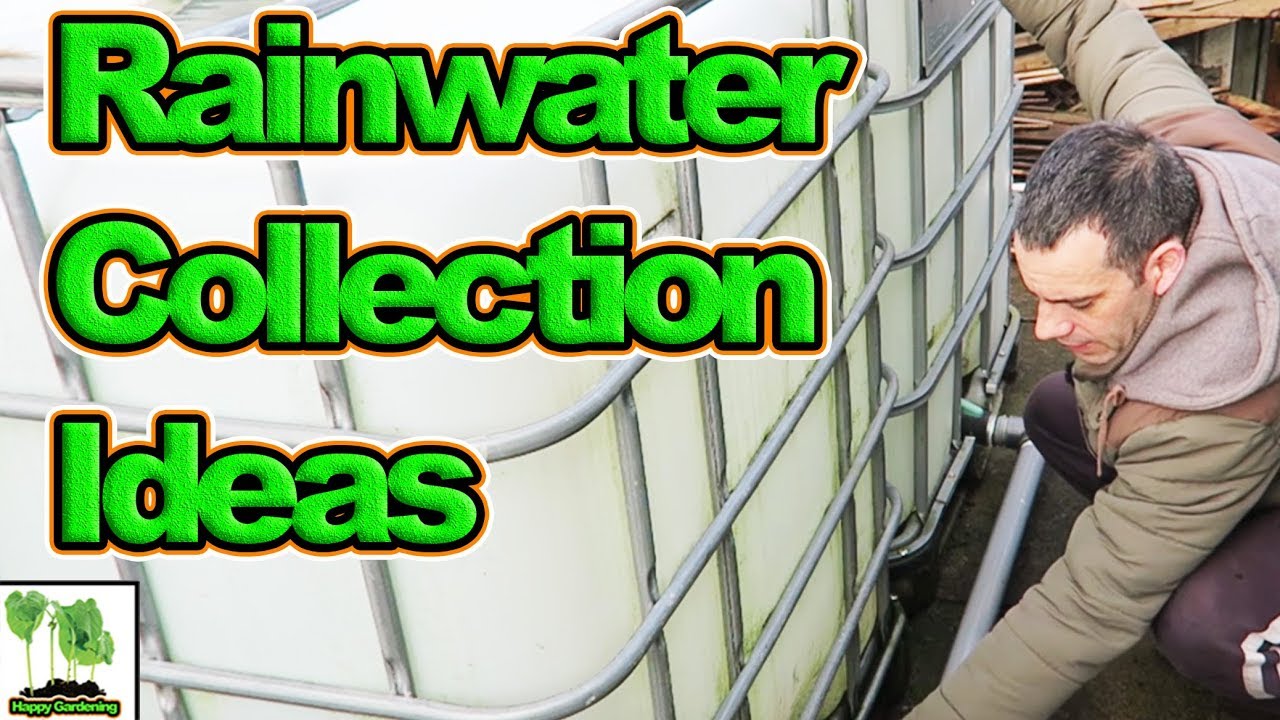 Rainwater Harvesting And Containment For Allotment Gardens YouTube