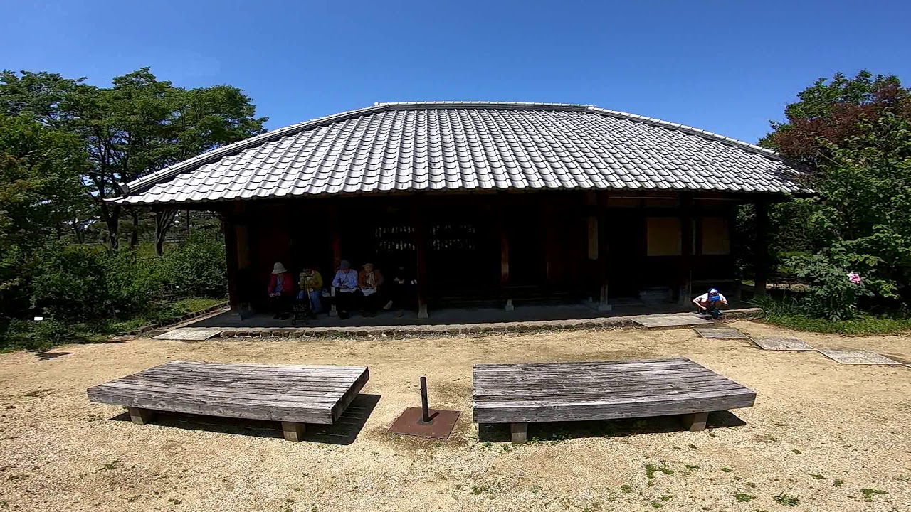 浜寺公園のバラ園です 見頃は５月中旬あたりかなー Youtube