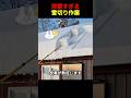 完璧すぎる雪切りが気持ちよすぎる #雪かき #除雪動画 #スッキリ映像 #気持ちいい瞬間 #完璧な作業