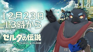 EX2：地上探索 気ままにティアキン配信＃１０　【 ゼルダの伝説 ティアーズオブザキングダム  】