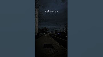 تلاوة مباركة خاشعة بصوت يلامس القلوب #اكسبلور #دويتو #حالات_واتس #القران #تيك_توك #خطبه #حالات_واتسا