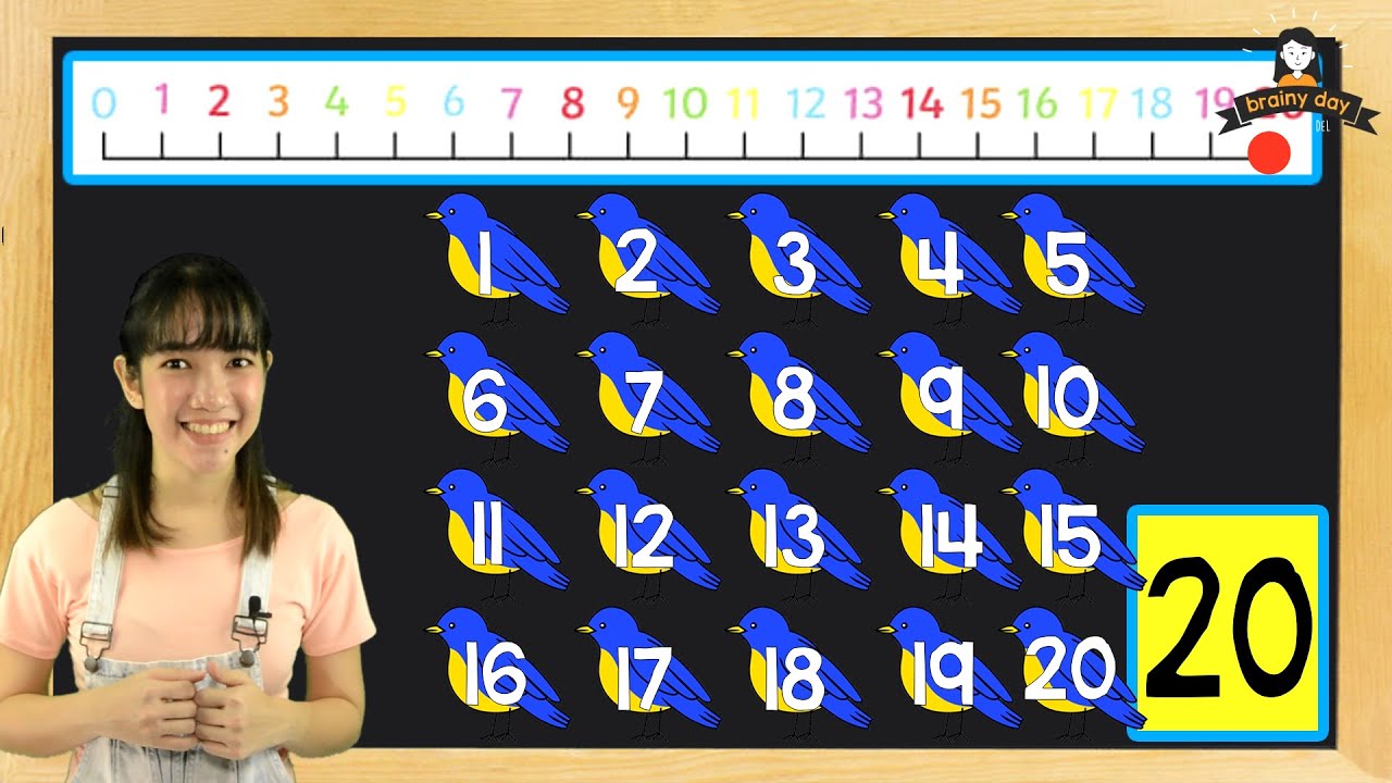 6 Math: Numbers 11-20 - Brainy Day