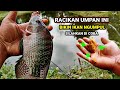 BISA DAPAT  BANYAK IKAN‼️KALAU IKAN NYA NGUMPUL BEGINIH || RACIKAN UMPAN NILA