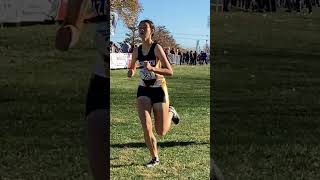 2024 PIAA Cross Country Championships Finish Line Video, Girls AA