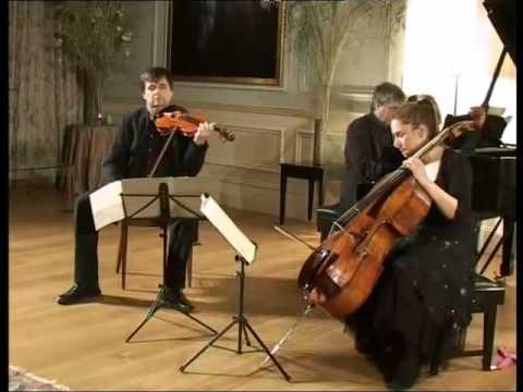 Mendelssohn Piano Trio No.1 in D minor Op.49 - Part 1/3