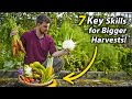 7 Simple Skills That Increase Your Garden's Productivity | High-Yield Permaculture Gardening