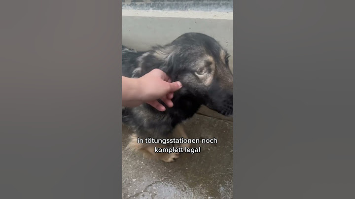 Sie sollten alle getötet werden #shorts #tierschutz