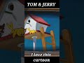 TOM &amp; JERRY I LOVE THIS CARTOON FULL GAMEPLAY IN CHANNEL #gaming #androidgames #games
