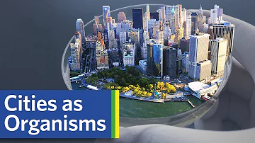 Are cities or suburbs more environmentally friendly?