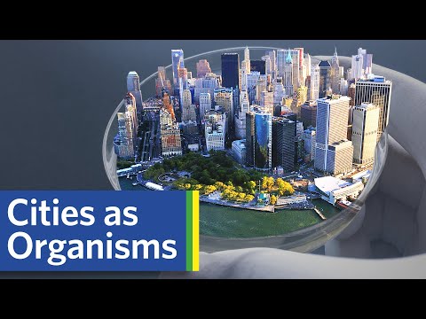 도시는 유기체와 같은가?