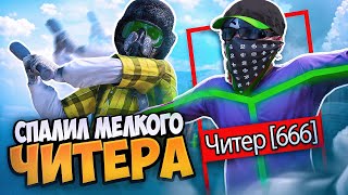 видео: ПОЙМАЛ МЕЛКОГО И НАГЛОГО ЧИТЕРА в ГТА 5 РП / MAJESTIC RP картинка: ПОЙМАЛ МЕЛКОГО И НАГЛОГО ЧИТЕРА в ГТА 5 РП / MAJESTIC RP