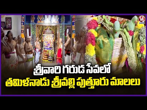 Tamil Nadu Srivilliputhur Reached To Tirumala For Srivari Garuda Seva | V6 News - V6NEWSTELUGU