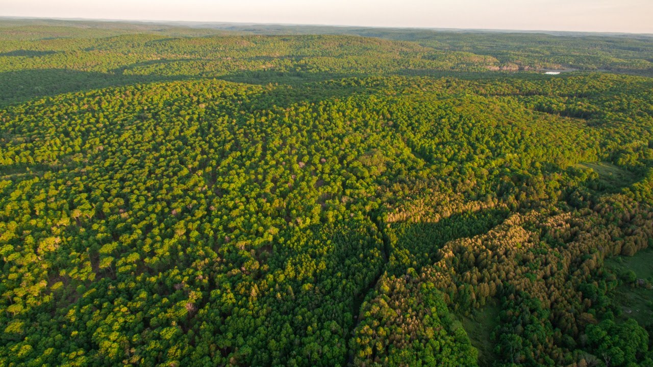 100 Acres For Sale Near Eganville YouTube