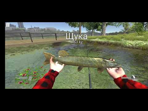 Bonus igralnice Fish Road: Igrajte online na spletu v Sloveniji