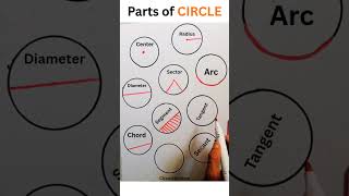 Circle Parts in 36 Seconds #circle