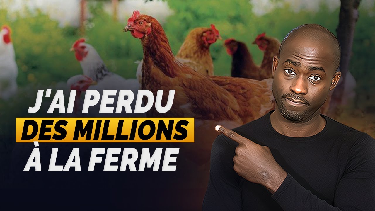 8 ans d’agriculture: 10 erreurs qui m’ont coûté 30 Millions