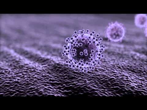 GD პედია - სოფო კიკვილაშვილი - C ჰეპატიტი