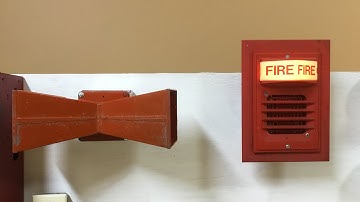 System Test 70 | Dual Projector Vibratone and Simplex 2903 Light Plate