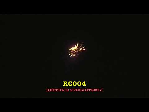 RC004 ЦВЕТНЫЕ ХРИЗАНТЕМЫ