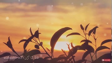 سورة المسد بصوت طفل 🎧❤️يبكي الحجر