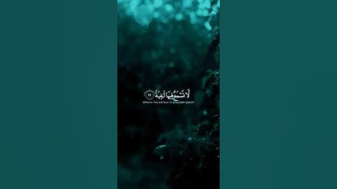 وجوه يومئذ ناعمه🍃|تلاوة هادئه |بصوت القارئ أحمد خضر🍃