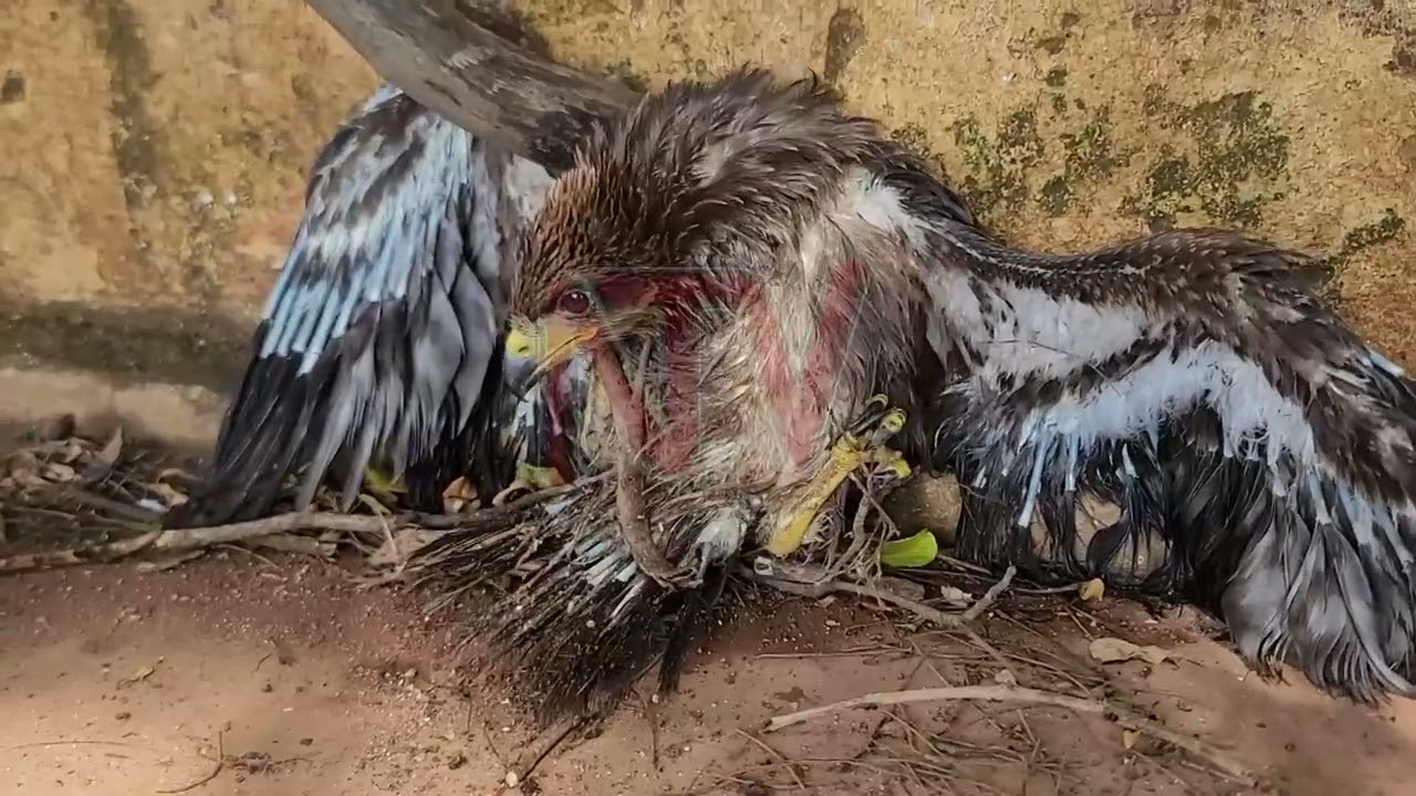 EDDEMBE LY’EBISOLO:Aba bodaboda basse abaana ba kamunye
