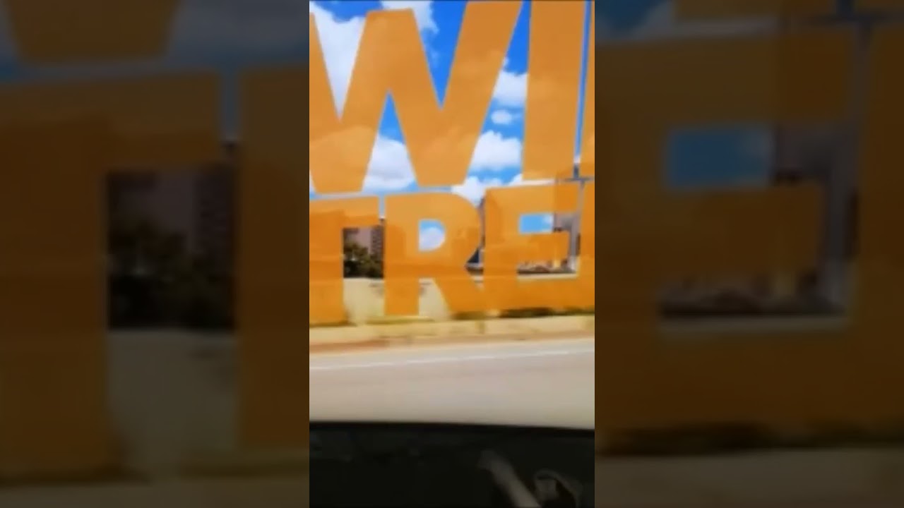 Will Trent Taking Betty to Animal Shelter