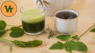 How to eat raw nettles | Stinging nettle tea and blend