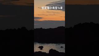 #방포해수욕장은 취사가 불가능 합니다#방포해수욕장 해루질#펜션을 추천합니다
