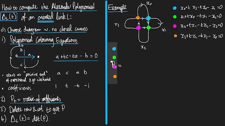 Introduction to the Alexander Polynomial