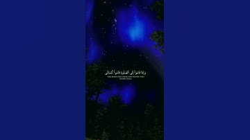 ( إِنَّ الْـمُنَافِقِينَ يُخَادِعُونَ اللهَ وَهُوَ خَادِعُهُمْ ) سورة النساء- آية (142)