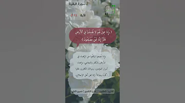 تفسير سورة البقرة الآية 11 بطريقة رائعة Shorts 