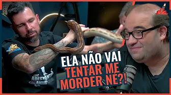 imagem do youtube