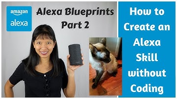How to Create an Alexa Skill without Coding: Blueprints Part 2: My  Cat Guide