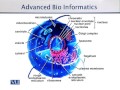 BIF731 Advanced Bioinformatics Lecture No 6
