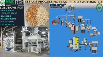 Sesame Seed Cleaning Processing Plant by Mmctech | Fully Automated in the USA