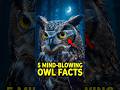 Owls Have Eye Cube #shorts