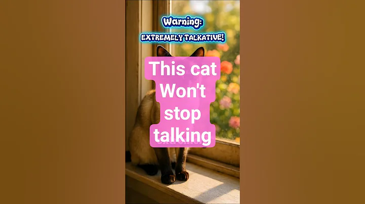 Video 11679521: siamesecat, cat talking