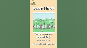"Learn Hindi Like a Pro! Start Your Demo Class Today!"