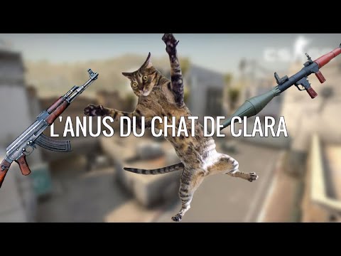 Vidéo: Inflammation Chronique De La Région De L'anus, Du Rectum Ou Du Périnée Chez Le Chat