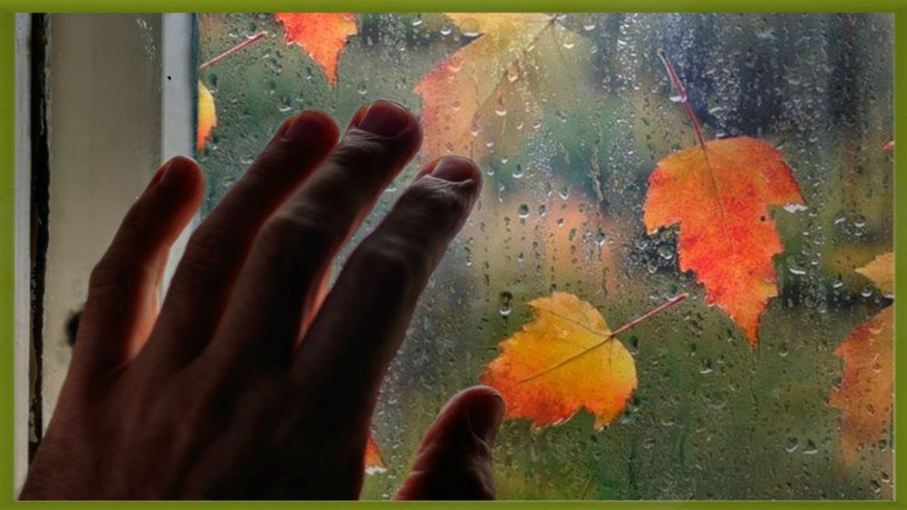 Стучит по земле. Осень дождь за окном. Осень дождь окно. Листья на окна. Осенний лист на стекле.
