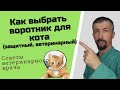 Защитный воротник для кота