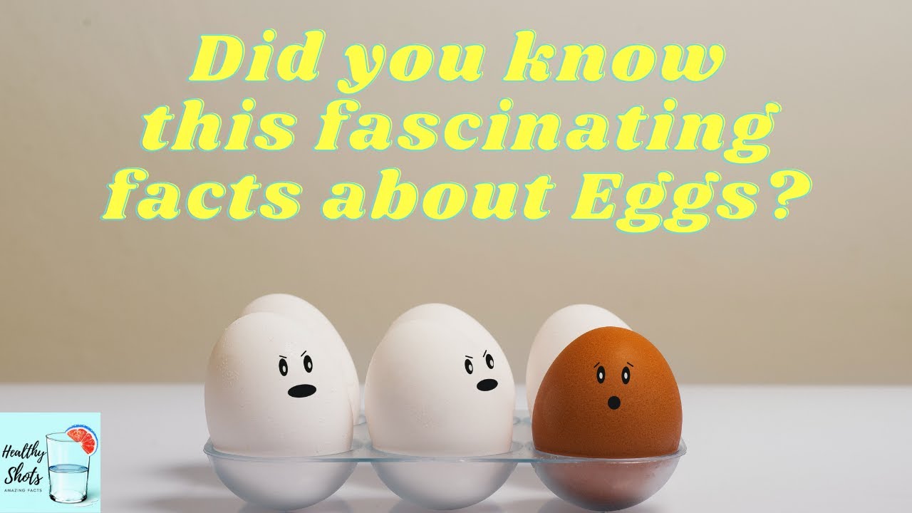 Did you know this fascinating facts about Eggs?