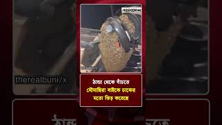 ঠান্ডা থেকে বাঁচতে মৌমাছিরা বাইকে চাকের মতো ভিড় করেছে | Protidiner Bangladesh
