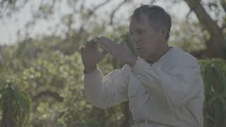 What’s the buzz about honeybees?