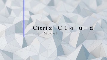 Citrix Workspace Deliveries
