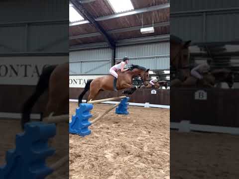 This Girl Will Make You Love Horse Riding هذه الفتاة ستجعلك تحب ركوب الخيل